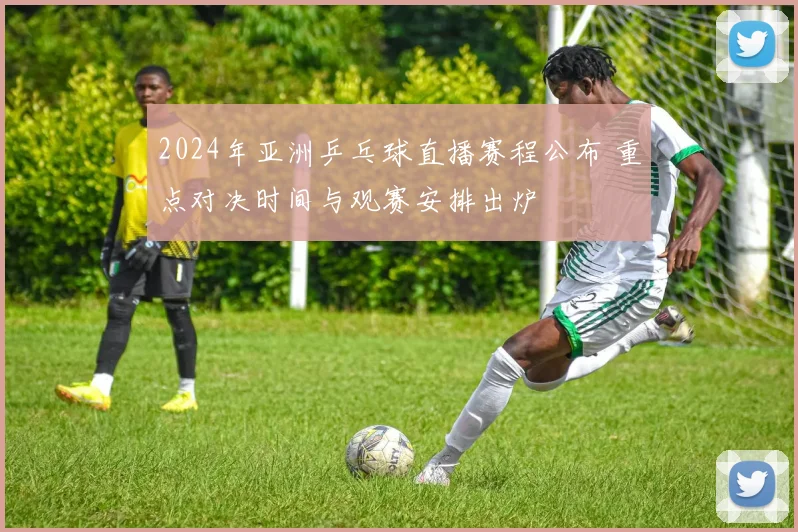 2024年亚洲乒乓球直播赛程公布 重点对决时间与观赛安排出炉